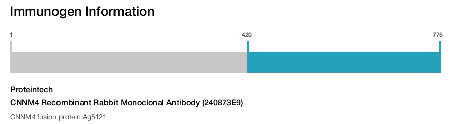 CNNM4 Recombinant Rabbit Monoclonal Antibody (240873E9)