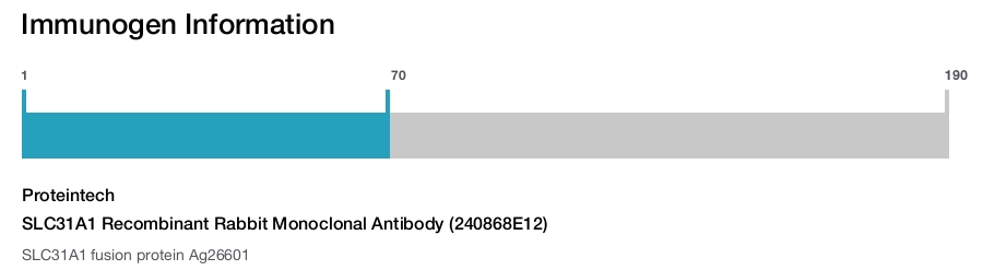 SLC31A1 Recombinant Rabbit Monoclonal Antibody (240868E12)