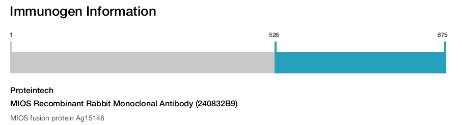 MIOS Recombinant Rabbit Monoclonal Antibody (240832B9)