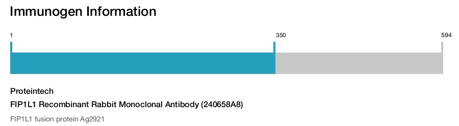 FIP1L1 Recombinant Rabbit Monoclonal Antibody (240658A8)