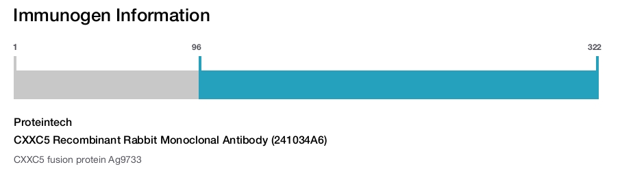 CXXC5 Recombinant Rabbit Monoclonal Antibody (241034A6)
