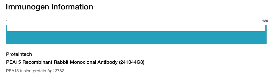 PEA15 Recombinant Rabbit Monoclonal Antibody (241044G8)