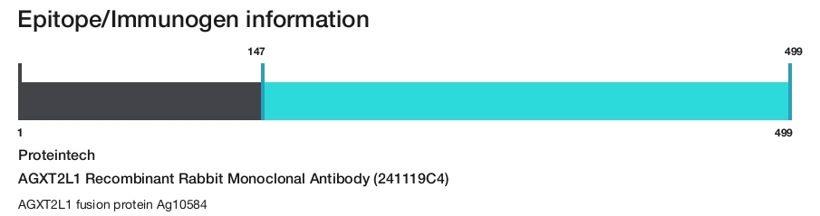 AGXT2L1 Recombinant Rabbit Monoclonal Antibody (241119C4)