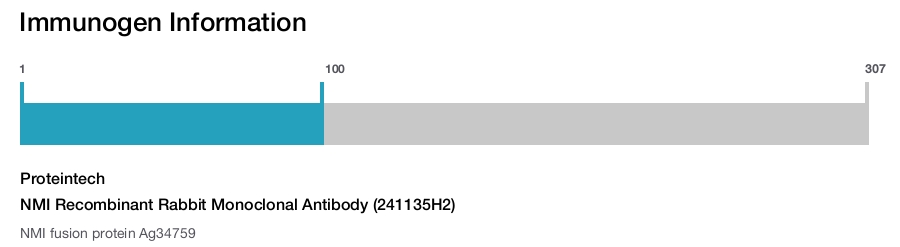 NMI Recombinant Rabbit Monoclonal Antibody (241135H2)