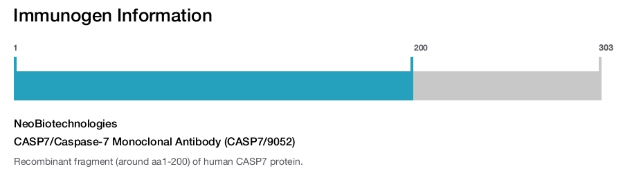 CASP7/Caspase-7 Monoclonal Antibody (CASP7/9052)