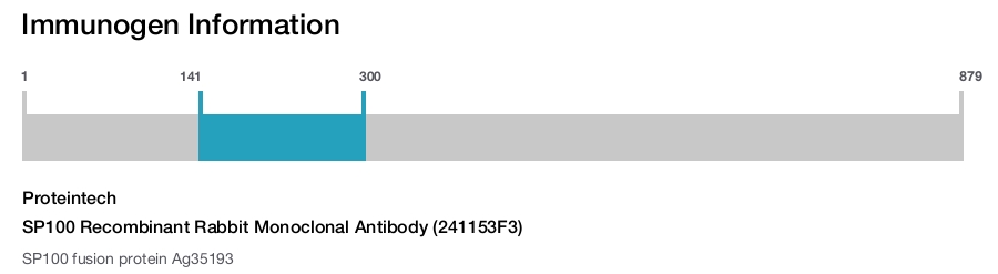SP100 Recombinant Rabbit Monoclonal Antibody (241153F3)