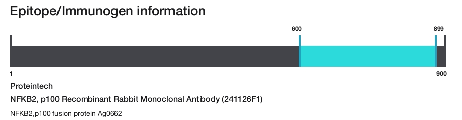 NFKB2, p100 Recombinant Rabbit Monoclonal Antibody (241126F1)