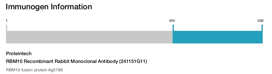 RBM10 Recombinant Rabbit Monoclonal Antibody (241151G11)