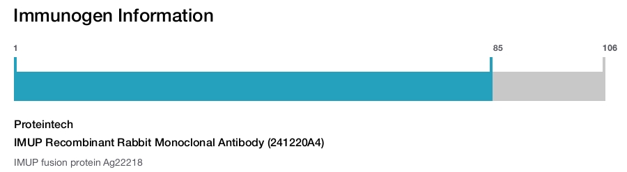 IMUP Recombinant Rabbit Monoclonal Antibody (241220A4)