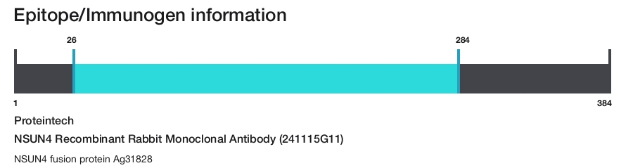 NSUN4 Recombinant Rabbit Monoclonal Antibody (241115G11)
