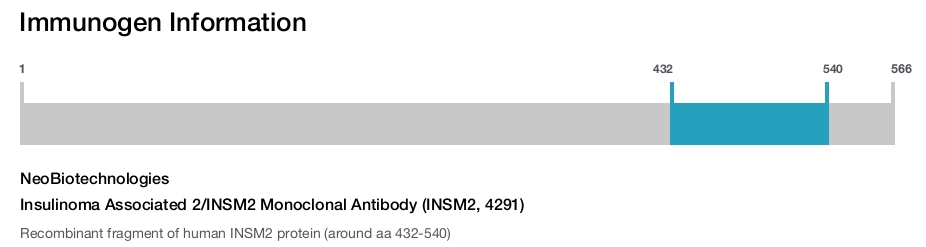 Insulinoma Associated 2/INSM2 Monoclonal Antibody (INSM2, 4291)