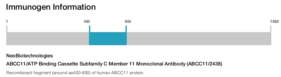 ABCC11/ATP Binding Cassette Subfamily C Member 11 Monoclonal Antibody (ABCC11/2438)