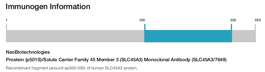 Prostein (p501S)/Solute Carrier Family 45 Member 3 (SLC45A3) Monoclonal Antibody (SLC45A3/7649)