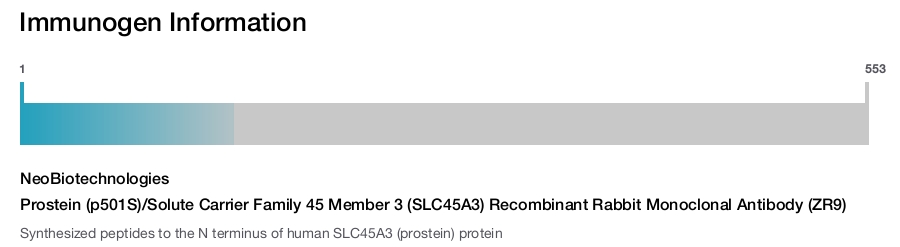 Prostein (p501S)/Solute Carrier Family 45 Member 3 (SLC45A3) Recombinant Rabbit Monoclonal Antibody (ZR9)
