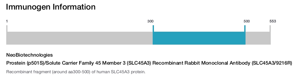 Prostein (p501S)/Solute Carrier Family 45 Member 3 (SLC45A3) Recombinant Rabbit Monoclonal Antibody (SLC45A3/9216R)