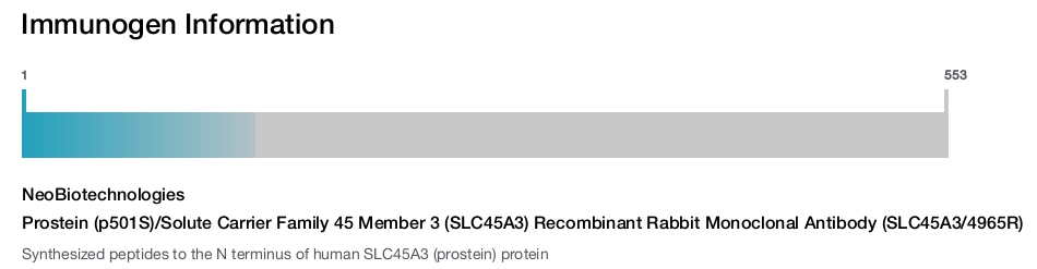 Prostein (p501S)/Solute Carrier Family 45 Member 3 (SLC45A3) Recombinant Rabbit Monoclonal Antibody (SLC45A3/4965R)
