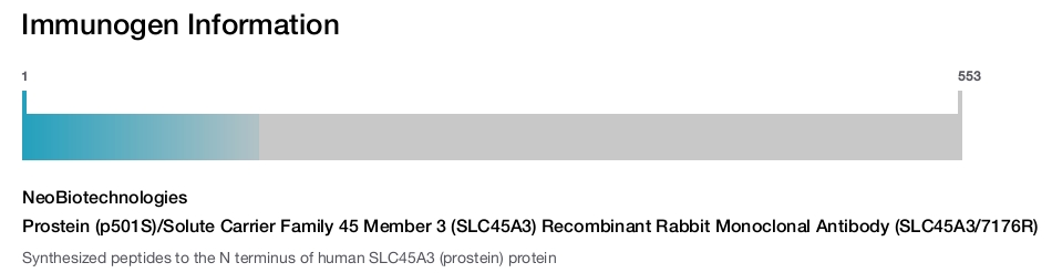 Prostein (p501S)/Solute Carrier Family 45 Member 3 (SLC45A3) Recombinant Rabbit Monoclonal Antibody (SLC45A3/7176R)