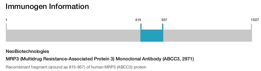 MRP3 (Multidrug Resistance-Associated Protein 3) Monoclonal Antibody (ABCC3, 2971)