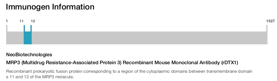MRP3 (Multidrug Resistance-Associated Protein 3) Recombinant Mouse Monoclonal Antibody (rDTX1)