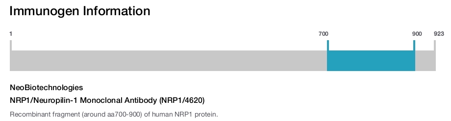NRP1/Neuropilin-1 Monoclonal Antibody (NRP1/4620)