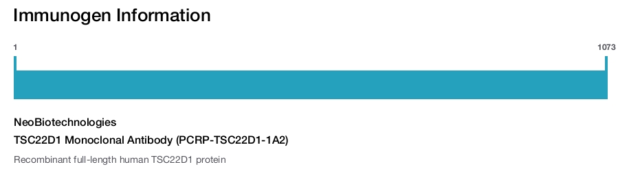 TSC22D1 Monoclonal Antibody (PCRP-TSC22D1-1A2)