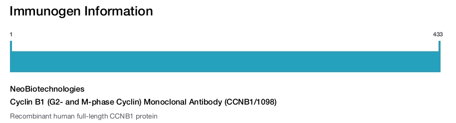 Cyclin B1 (G2- and M-phase Cyclin) Monoclonal Antibody (CCNB1/1098)