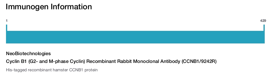 Cyclin B1 (G2- and M-phase Cyclin) Recombinant Rabbit Monoclonal Antibody (CCNB1/9242R)