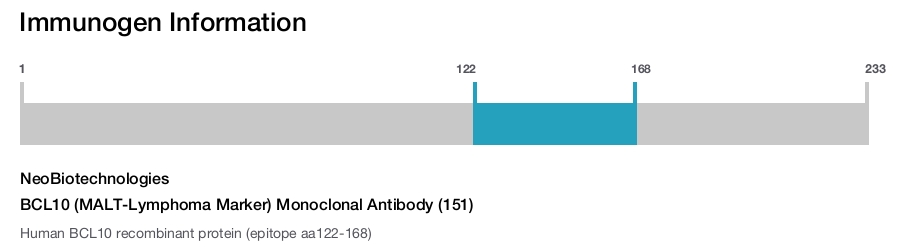 BCL10 (MALT-Lymphoma Marker) Monoclonal Antibody (151)