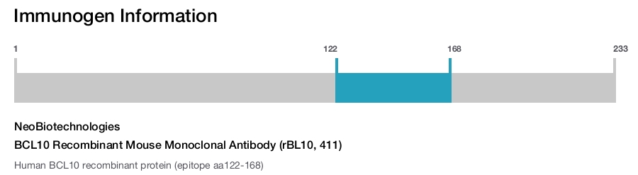 BCL10 Recombinant Mouse Monoclonal Antibody (rBL10, 411)