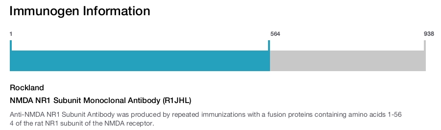NMDA NR1 Subunit Monoclonal Antibody (R1JHL)