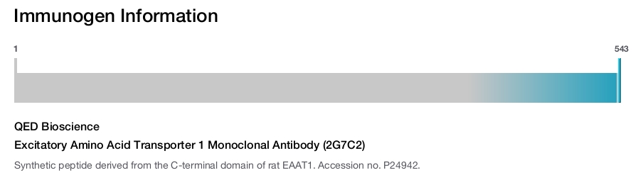 Excitatory Amino Acid Transporter 1 Monoclonal Antibody (2G7C2)