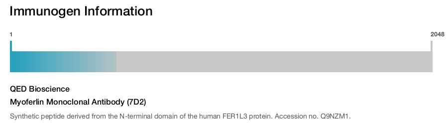 Myoferlin Monoclonal Antibody (7D2)