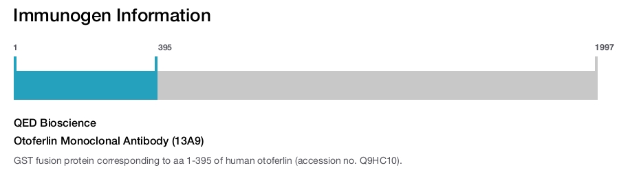Otoferlin Monoclonal Antibody (13A9)
