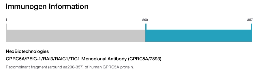 GPRC5A/PEIG-1/RAI3/RAIG1/TIG1 Monoclonal Antibody (GPRC5A/7893)