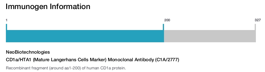 CD1a/HTA1 (Mature Langerhans Cells Marker) Monoclonal Antibody (C1A/2777)