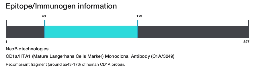 CD1a/HTA1 (Mature Langerhans Cells Marker) Monoclonal Antibody (C1A/3249)