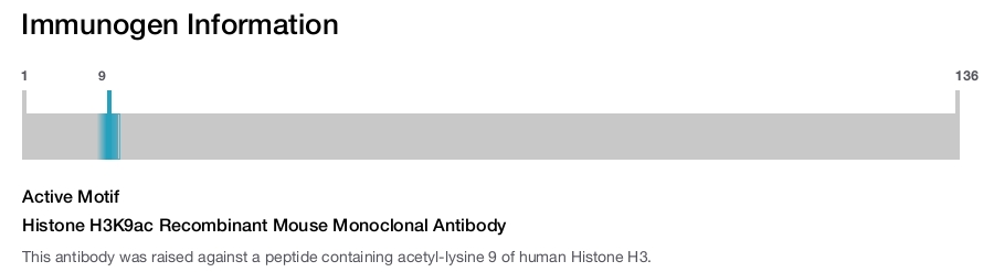 Histone H3K9ac Recombinant Mouse Monoclonal Antibody