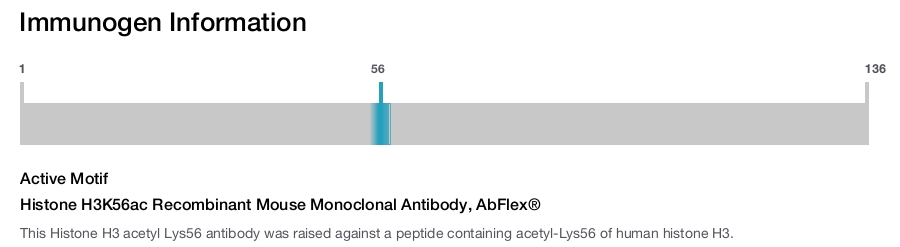 Histone H3K56ac Recombinant Mouse Monoclonal Antibody, AbFlex&reg;