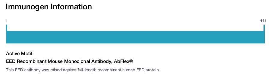 EED Recombinant Mouse Monoclonal Antibody, AbFlex&reg;
