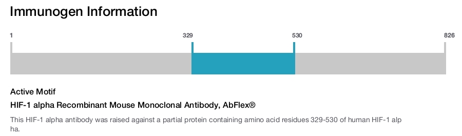 HIF-1 alpha Recombinant Mouse Monoclonal Antibody, AbFlex&reg;