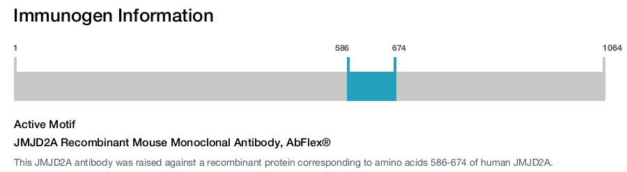 JMJD2A Recombinant Mouse Monoclonal Antibody, AbFlex&reg;