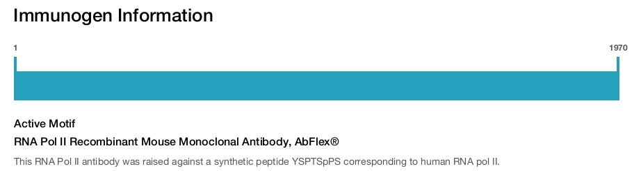 RNA Pol II Recombinant Mouse Monoclonal Antibody, AbFlex&reg;
