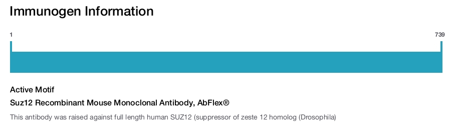 Suz12 Recombinant Mouse Monoclonal Antibody, AbFlex&reg;