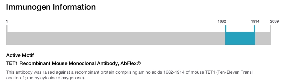 TET1 Recombinant Mouse Monoclonal Antibody, AbFlex&reg;