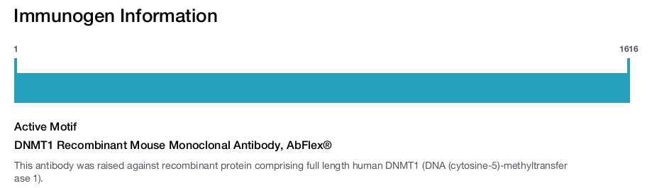 DNMT1 Recombinant Mouse Monoclonal Antibody, AbFlex&reg;