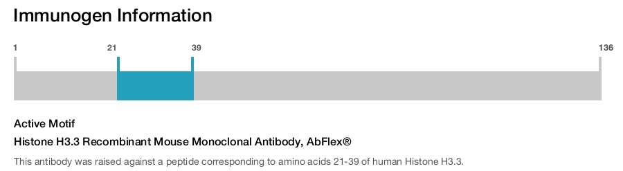 Histone H3.3 Recombinant Mouse Monoclonal Antibody, AbFlex&reg;