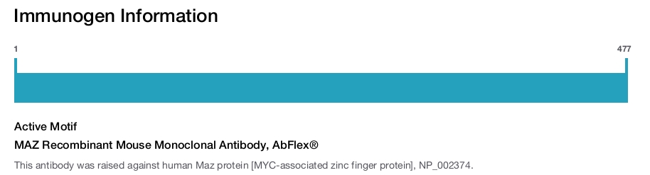 MAZ Recombinant Mouse Monoclonal Antibody, AbFlex&reg;
