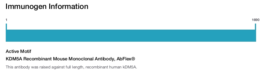 KDM5A Recombinant Mouse Monoclonal Antibody, AbFlex&reg;