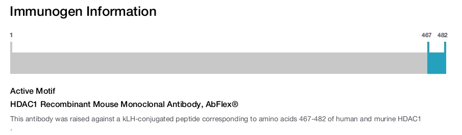 HDAC1 Recombinant Mouse Monoclonal Antibody, AbFlex&reg;