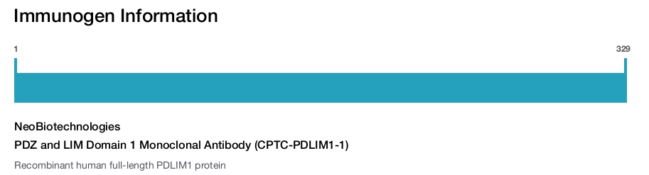 PDZ and LIM Domain 1 Monoclonal Antibody (CPTC-PDLIM1-1)